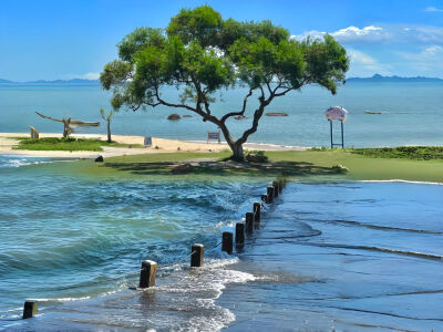 一组超有生命力的平板iPad壁纸～ ​​​