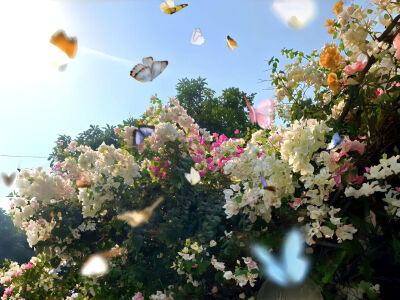 一组超有生命力的平板iPad壁纸～ ​​​