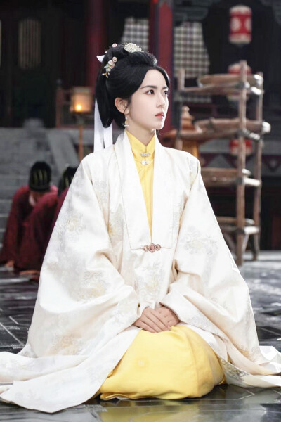 医女古穿今，夫人她医术满级 盛云姝