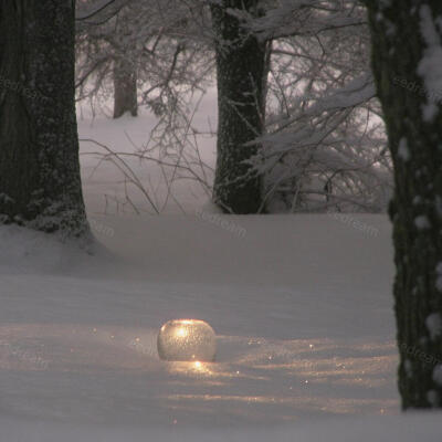雪野藏了颗会发光的星，在林间悄悄发亮。