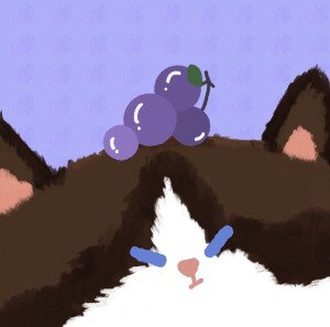卡通水果猫咪头像