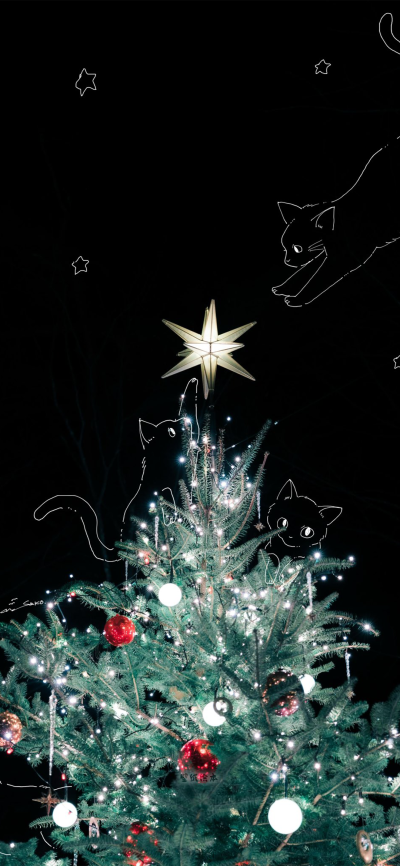 圣诞快乐
图片来自网络，侵删