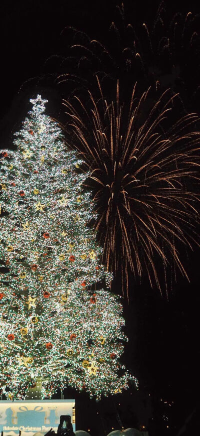 圣诞快乐
图片来自网络，侵删