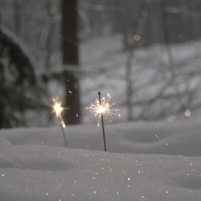 雪落无声，唯有星火在林间绽放温柔。