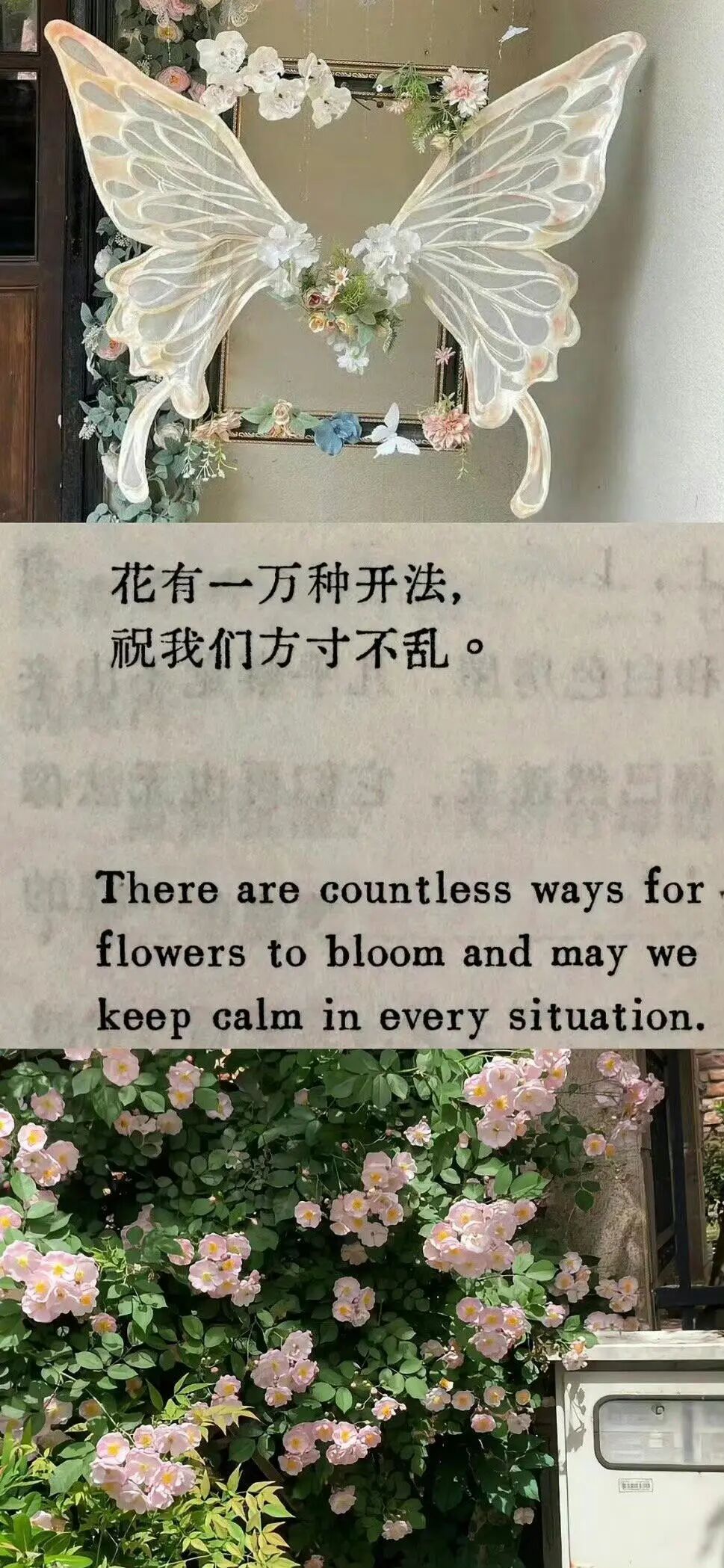 侵删