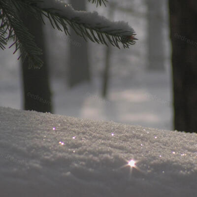 松枝坠雪，晨光揉碎在雪粒里成了星。