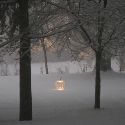 雾雪林间，藏着一颗发光的冬日灯笼。