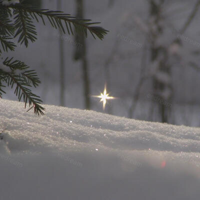 雪野接住了光的碎片，凝作林间的星芒。