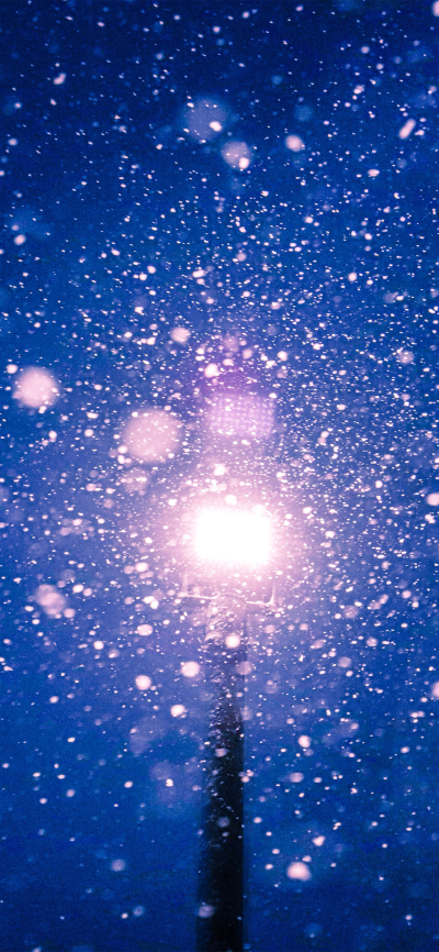 雪
图片来自网络，侵删