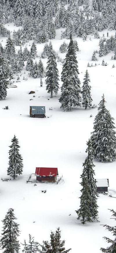 雪
图片来自网络，侵删