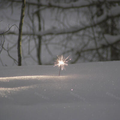 雪地里的星火，是冬天藏不住的温柔。