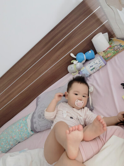 每天欣赏我的小可爱