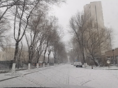 东北终于下雪啦啦啦啦