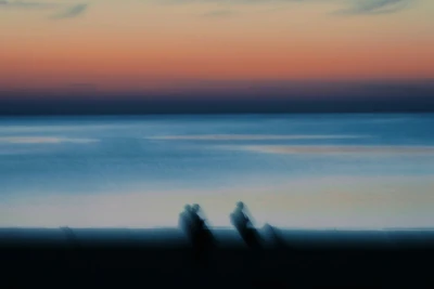 Photo by 壁纸迷