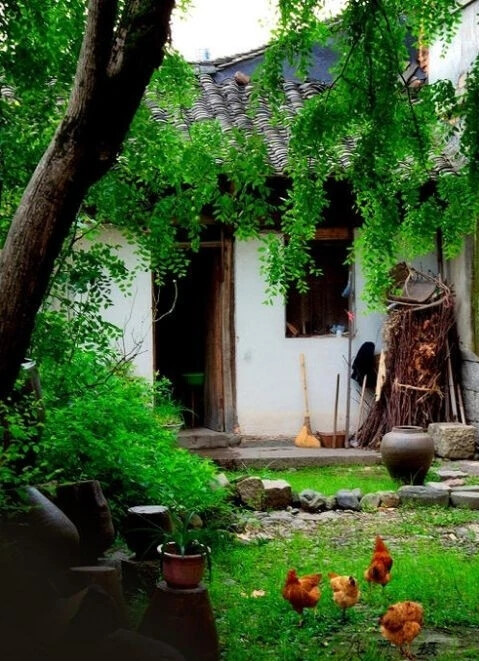 有个小院子， 躺在夜空下纳凉，院子深处，是心中的天堂！