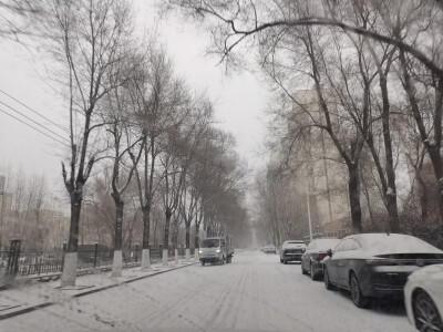 东北终于下雪啦啦啦啦