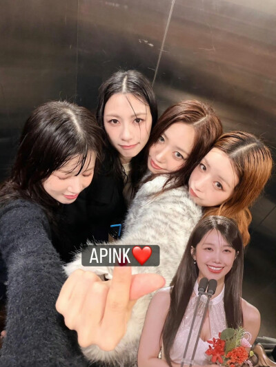 Apink2026