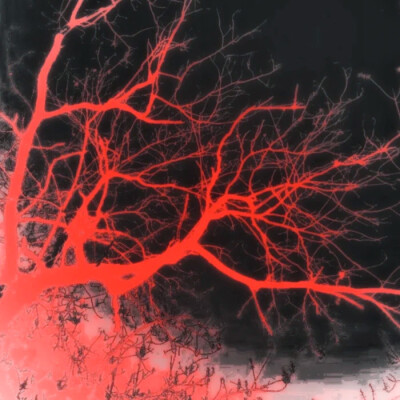 怎么忍心怪你犯了错