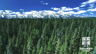 王一博(侵权删)