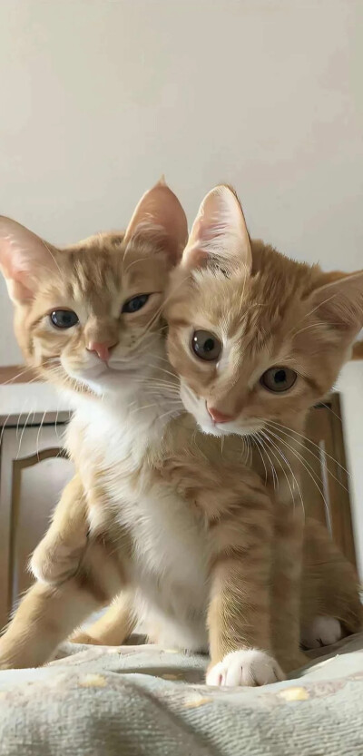 图源网络 侵权删