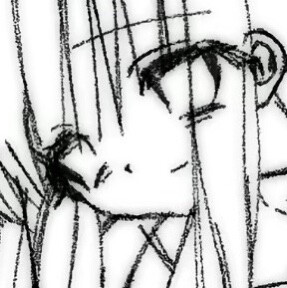 那个什么新年第一发