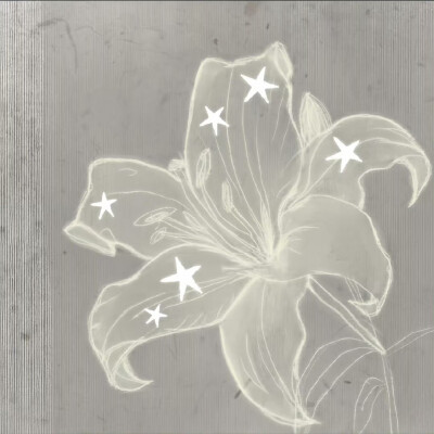 女生头像背景图搭配