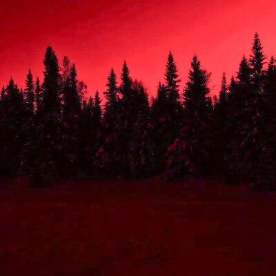 怎么忍心怪你犯了错