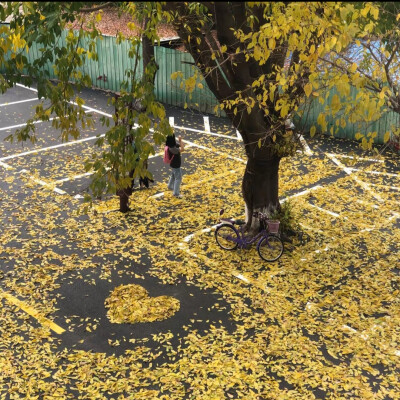 背景
