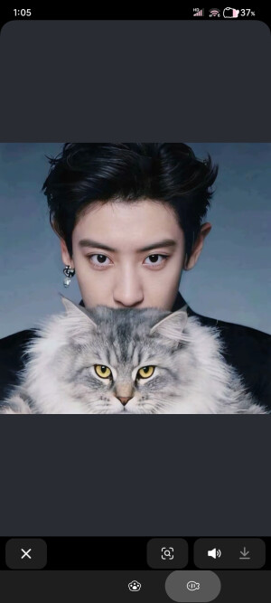 除了你  其他都是将就