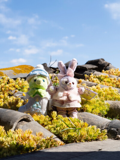 冬日暖阳
喜洲晒娃