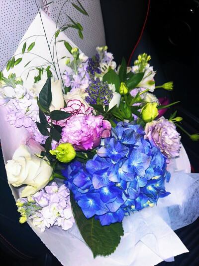 日常
“请用一只玫瑰纪念我”