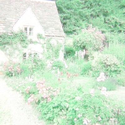 普罗旺斯的夏天，田野的榛果、葡萄架、拂过的微风和薰衣草，木椅上的报纸停留水汽的帽子先生，沾湿裙摆的玫瑰香水，香草碎带回冬的路。