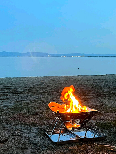 日常
“请用一只玫瑰纪念我”