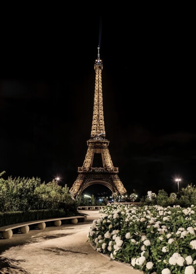 YSL26场秀场布置
-
建筑·园艺·轮廓的结合运用
现场建筑化作视觉中心背景
纯粹的绣球花丛勾勒出定制感的信息轮廓
两侧的树丛将现场宾客自然包裹
形成一个沉浸式的优雅庄园
