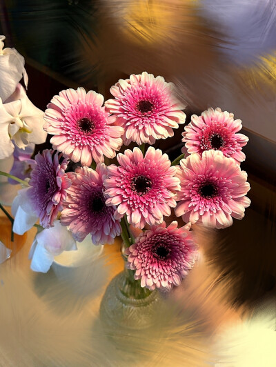 日常
“请用一只玫瑰纪念我”