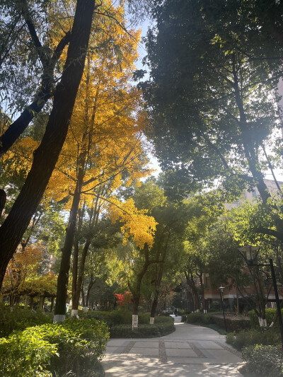 11.29 处处是秋意