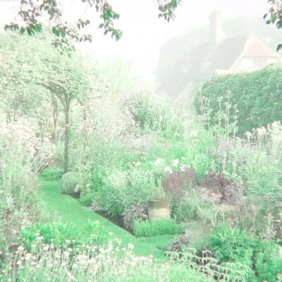 普罗旺斯的夏天，田野的榛果、葡萄架、拂过的微风和薰衣草，木椅上的报纸停留水汽的帽子先生，沾湿裙摆的玫瑰香水，香草碎带回冬的路。