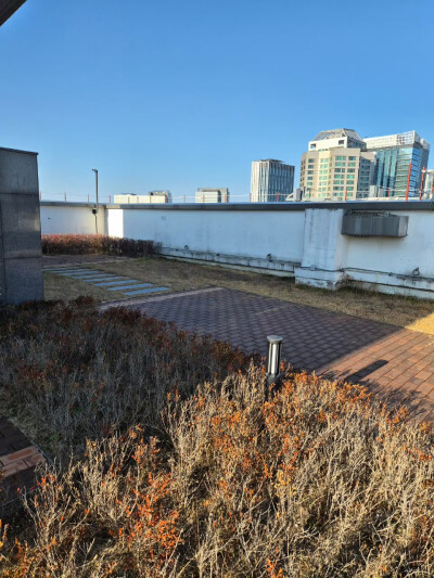 251230
weverse更新硕珍相关