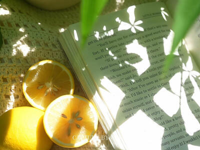 柠檬书香