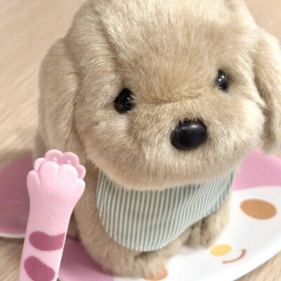 我真是披萨心肠的一个人>~<