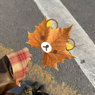 侵删