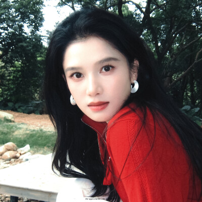 张婧仪