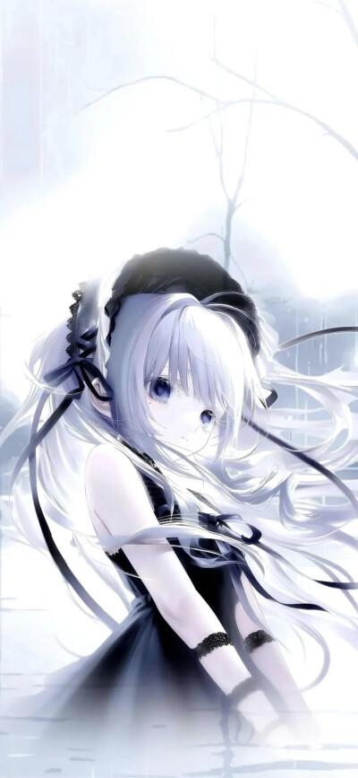 图源网络
聊天背景