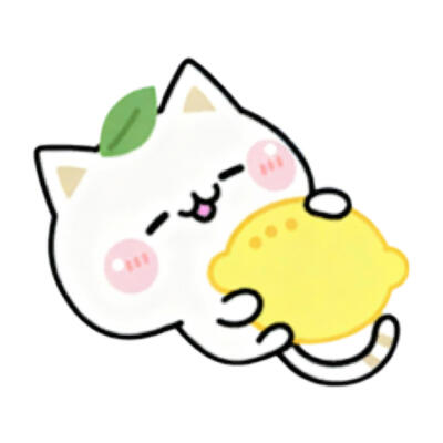 猫咪头像
