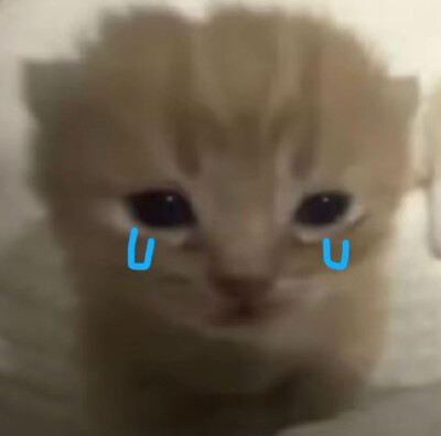 ( ˆ͈̑꒳ˆ͈̑ )੭♡