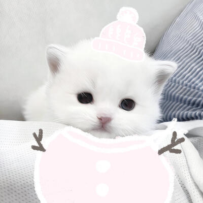 情头