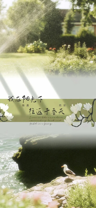 赴一场春日阳光