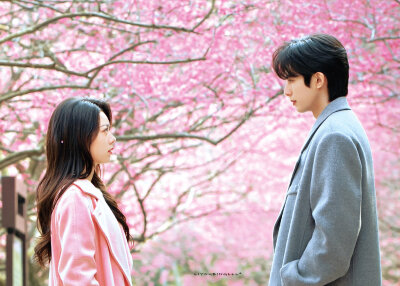 - 林屿森 ｜ 聂曦光 。