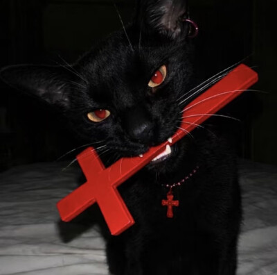 ʟsᴜɴɪᴄᴏʀɴ