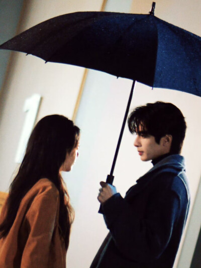 - 林屿森 ｜ 聂曦光 。